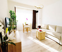 Lovely one bedroom rental, next to Calea Victoriei and Romanian Atheneum  - pet friendly short term apartments